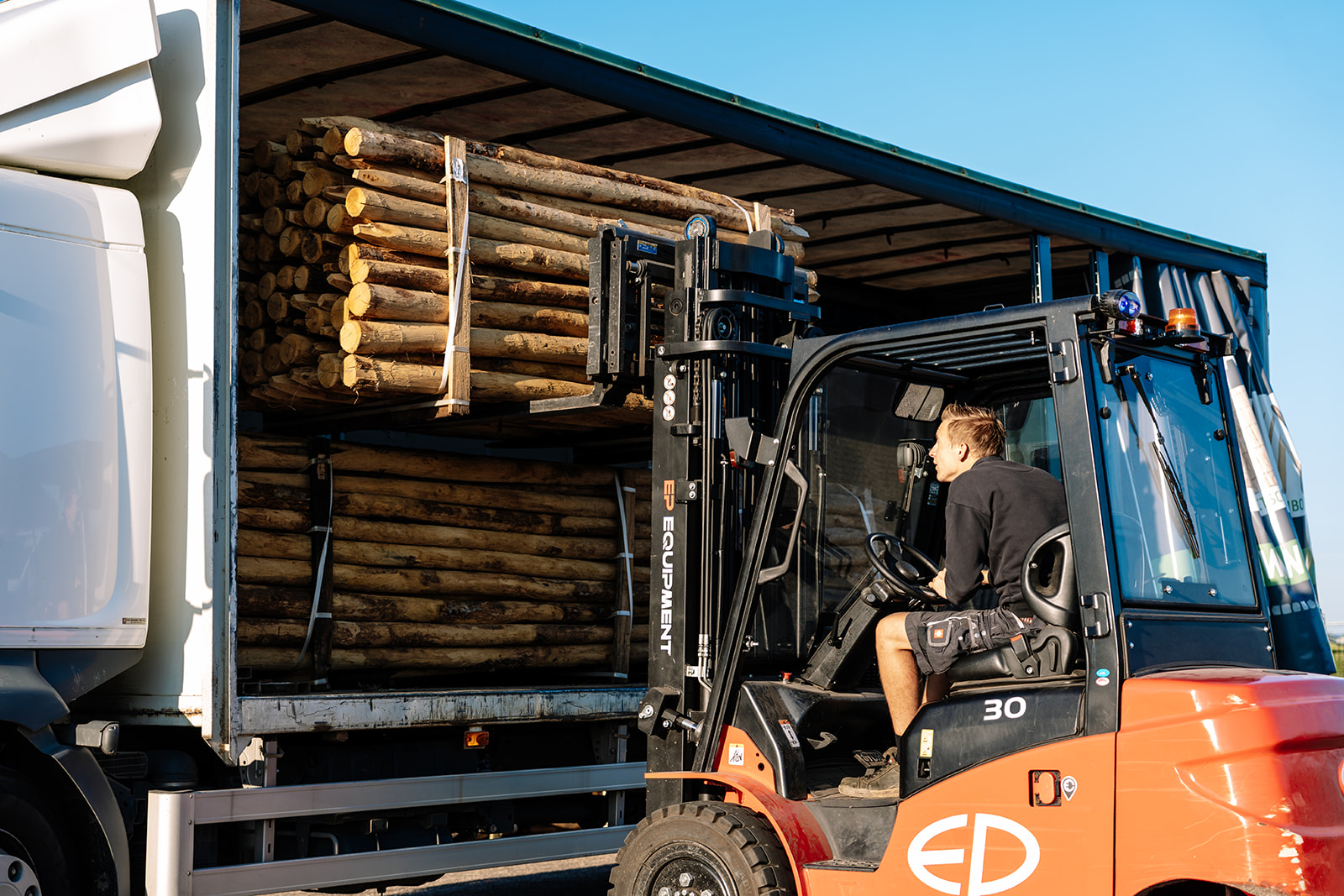 Kastanje Palen van 300 cm: Perfecte toevoeging aan uw Tuin of Weiland